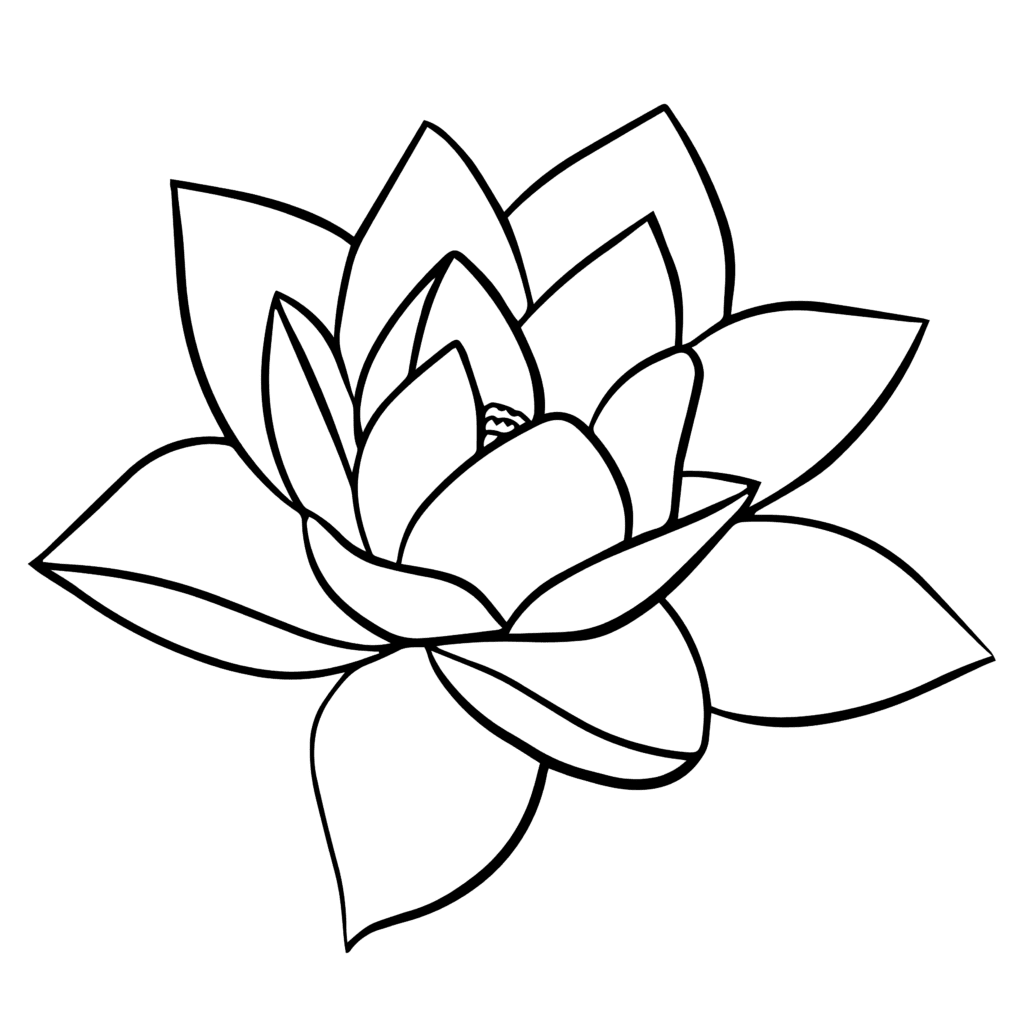 Quantum Jump Wasserlilie
