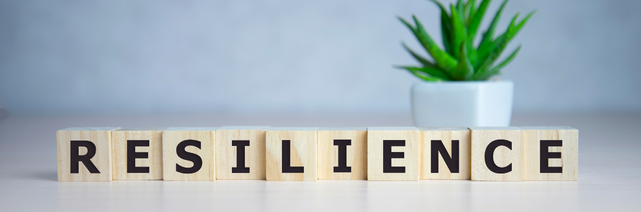 Resilienz und Widerstandfähigkeit